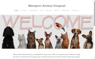 Westport Animal Hospital