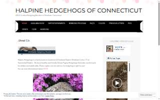 Halpine Hedgehogs