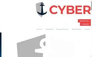 Shipshape IT - Washington DC website
