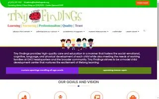 Tiny Findings website