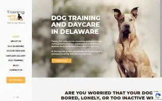 Training Tails of Middletown website