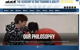 Academy of Dog Training and Agility