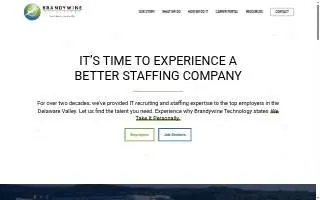 Brandywine Technology website