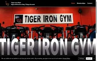 Tiger Kicks Martial Arts of Hockessin website