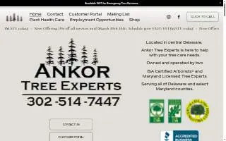 Ankor Tree Experts website