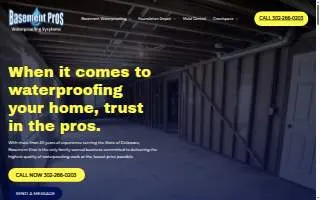 Basement Pros Waterproofing of Smyrna website