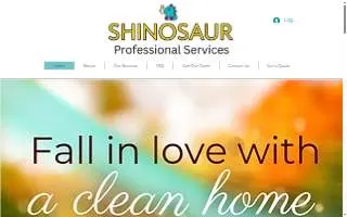 Shinosaur Cleaning - Smyrna/Dover website