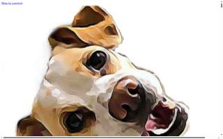 Silly Dogs Grooming Services