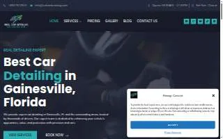 Real Car Detailing LLC website