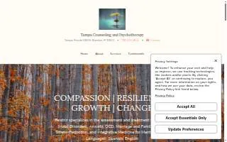 Tampa Counseling & Psychotherapy website