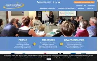 Metaspire Consulting website