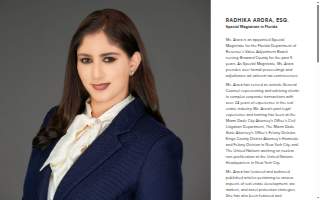 Arora Law Firm