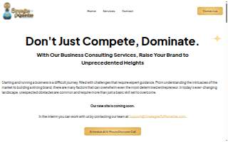 Strategize To Monetize Consulting Services