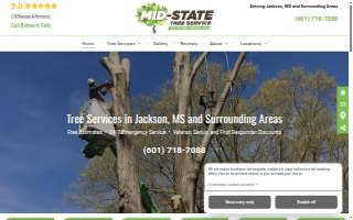 Brandon Tree Service
