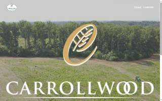 Carrollwood Tree Service