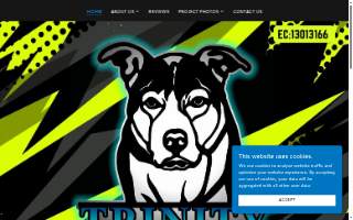 Trinity Electrical Contractors Inc.