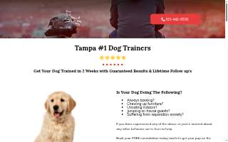 All Dogs Unleashed Dog Training Tampa