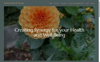 Catalyst Physical Therapy - Clearwater
