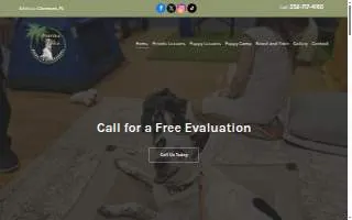 Buena Vista Dog Training website