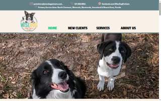 WiseDog Pet Care of Clermont
