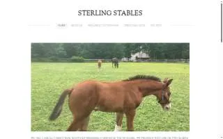 Sterling Stables of Cocoa Beach website