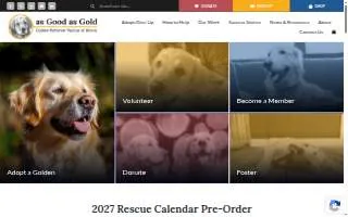 Golden Age Home Care Corp of DeBary website