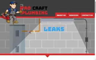 Pro Craft Plumbing llc website