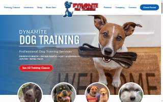 Dynamite Dog Training