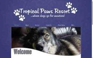 Tropical Paws Resort