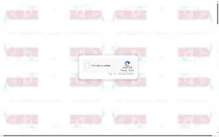 Action Plus Pressure Cleaning website