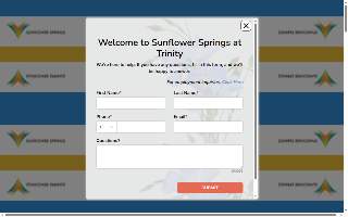 Sunflower Springs at Trinity of East Lake