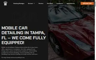 Crown Clean Auto Detailing LLC of Egypt Lake-Leto website