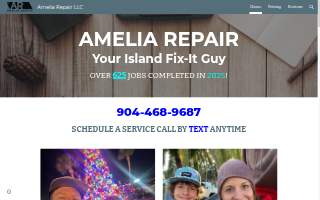 Amelia Repair LLC