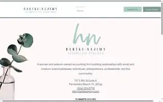 Hartke & Najimy Accounting Services, LLC website