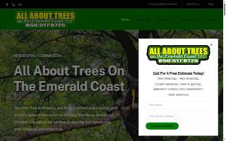 All About Trees On The Emerald Coast