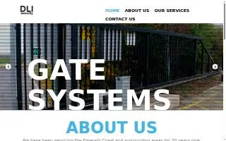 DLI Security Inc website