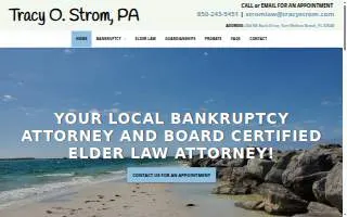Tracy O. Strom website