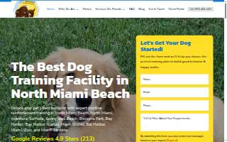 Bauser's Pet Training