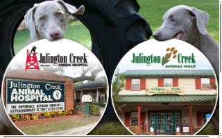 Julington Creek Animal Walk