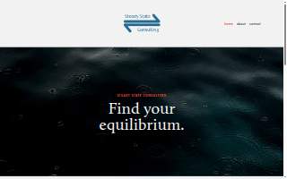 Steady State Consulting