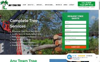 Any Town Tree