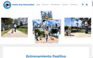 Positive Dog Training Miami of Golden Glades
