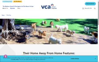 The Barkers Hotel & Purrington Inn Pet Resort & Spa