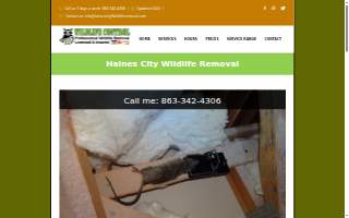 Haines City Wildlife Removal