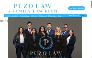 Puzo Law website
