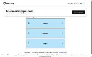 Blue Works Company Cast Iron Sewer Repair & Plumbing of Holiday website