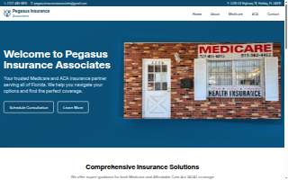 Pegasus Insurance Associates Inc