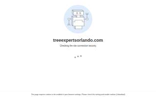 Tree Experts Orlando