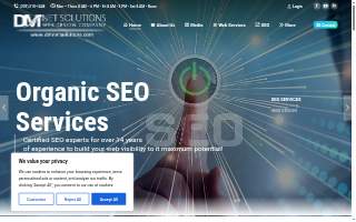 DMNet Solutions Web Design Company