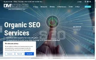 DMNet Solutions Web Design Company website